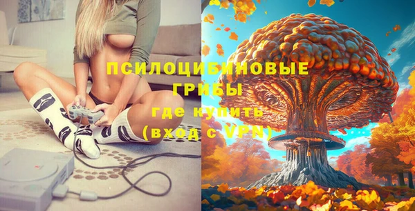 кокаин Белокуриха